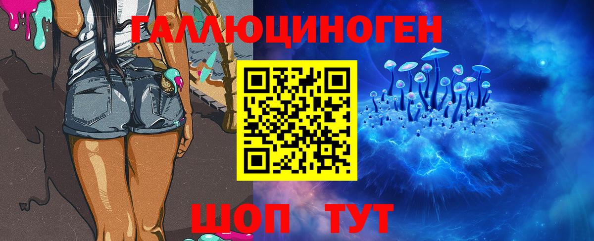 Галлюциногенные грибы GOLDEN TEACHER Гудермес